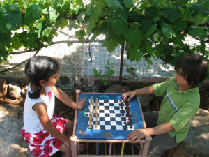 Garden chess (G)